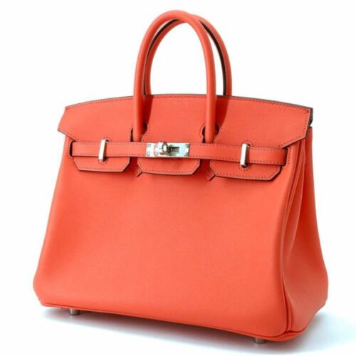 birkin17