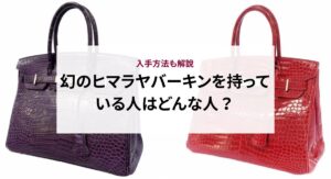 バーキンの人気のない色と人気のある色はどれ？長持ちさせるコツも紹介！