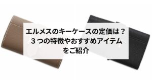 エルメスのエブリンの使い勝手を口コミ評判から検証！サイズ・素材・コーディネート方法も解説！